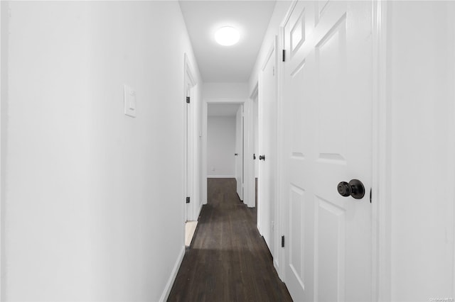 hall featuring dark hardwood / wood-style floors