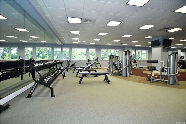 workout area featuring plenty of natural light, carpet floors, and a drop ceiling