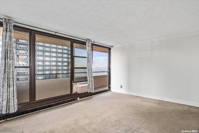 carpeted spare room featuring a textured ceiling