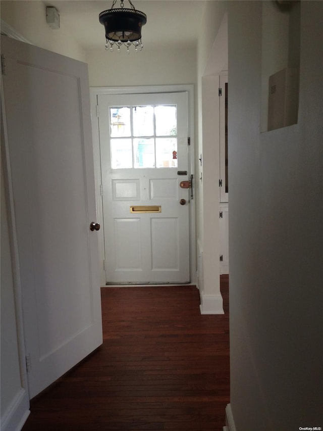 entryway featuring dark wood-type flooring