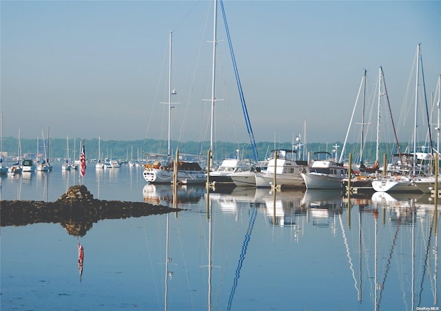 water view featuring a dock