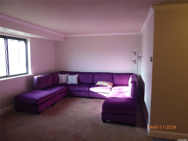 carpeted living room featuring crown molding