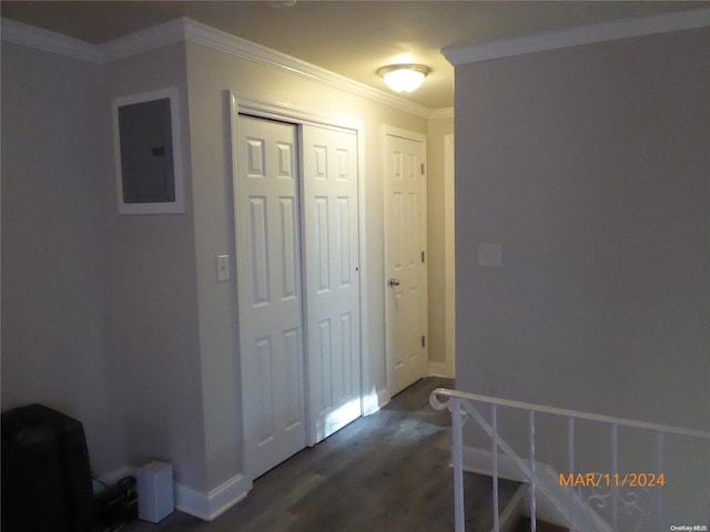 hall featuring dark hardwood / wood-style flooring, crown molding, and electric panel