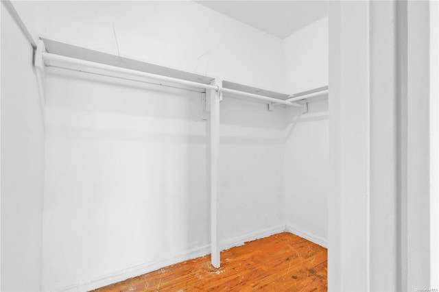 walk in closet featuring wood-type flooring