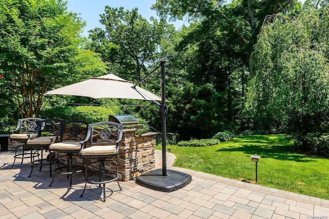 view of patio / terrace with an outdoor kitchen and area for grilling