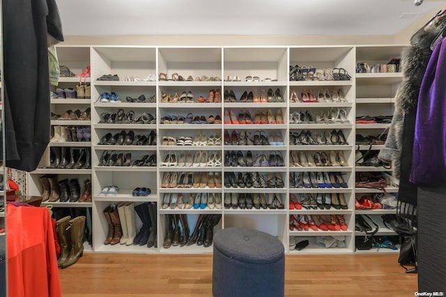 walk in closet featuring hardwood / wood-style flooring