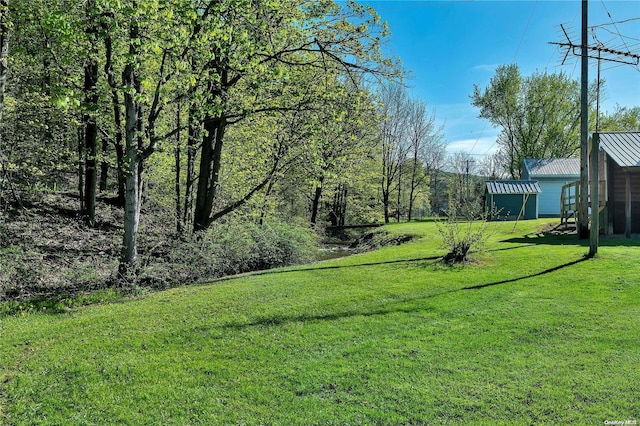 view of yard featuring a storage unit