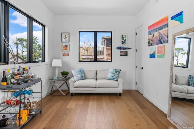 living area featuring light hardwood / wood-style flooring