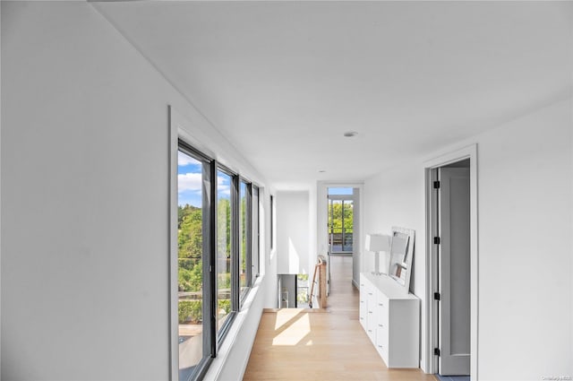 hall featuring plenty of natural light and light hardwood / wood-style flooring