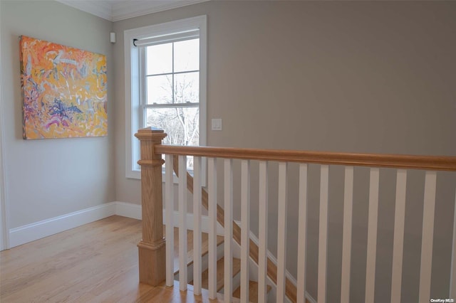 stairway featuring wood-type flooring