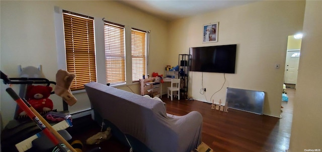 living room featuring dark hardwood / wood-style flooring