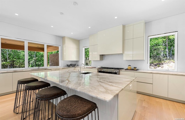 kitchen with plenty of natural light, an island with sink, light hardwood / wood-style flooring, and sink