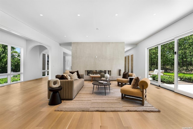 living room featuring a fireplace and light hardwood / wood-style floors