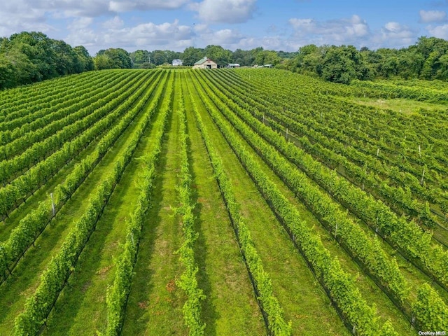 view of yard with a rural view