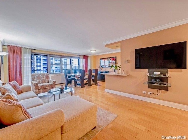 living room featuring hardwood / wood-style floors and ornamental molding