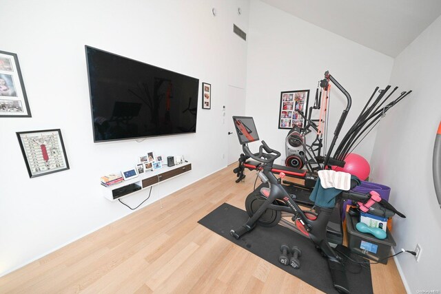 workout area featuring hardwood / wood-style flooring