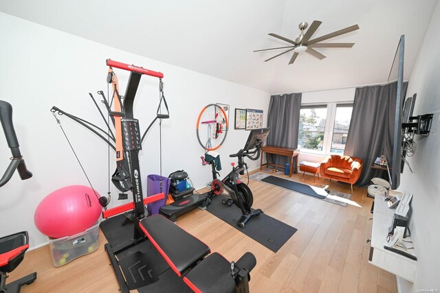 exercise area with hardwood / wood-style floors and ceiling fan