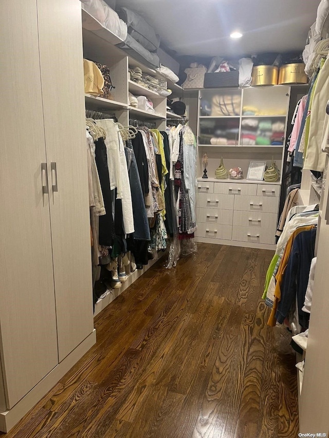 spacious closet with dark wood-type flooring