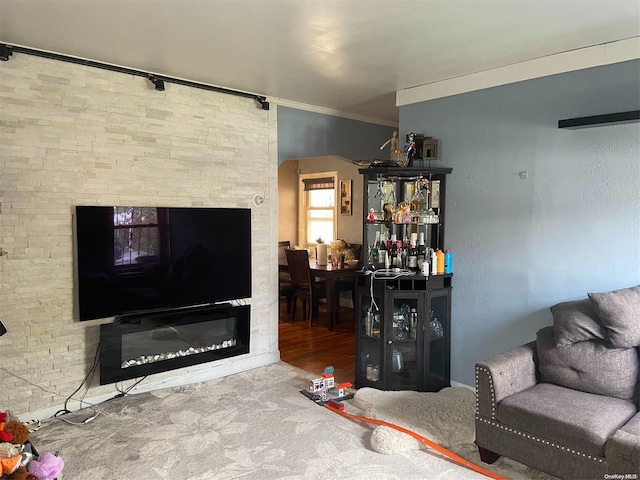 living room featuring hardwood / wood-style floors and crown molding