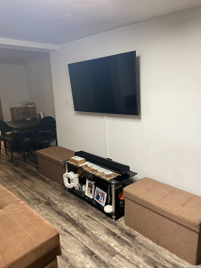 living room featuring hardwood / wood-style flooring