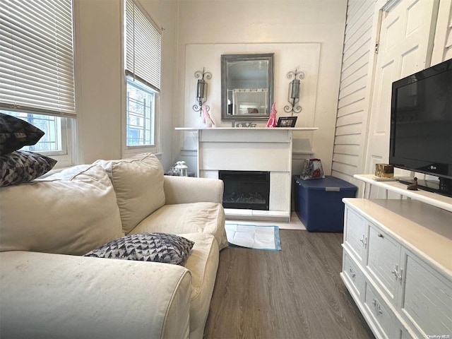 living room with dark hardwood / wood-style flooring