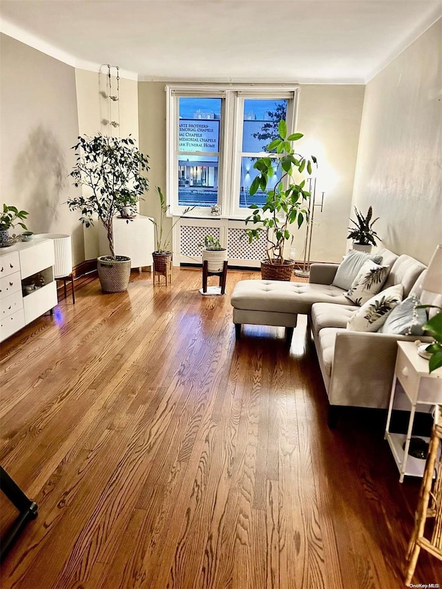 living room with radiator and hardwood / wood-style flooring