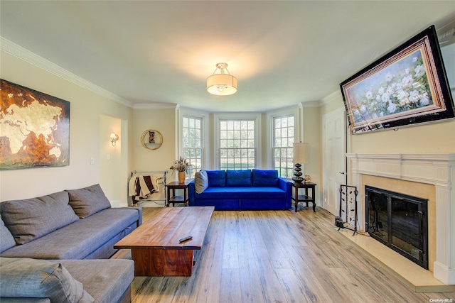 living room featuring light wood-type flooring and ornamental molding