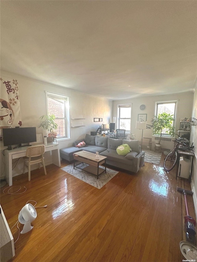 living room with hardwood / wood-style flooring