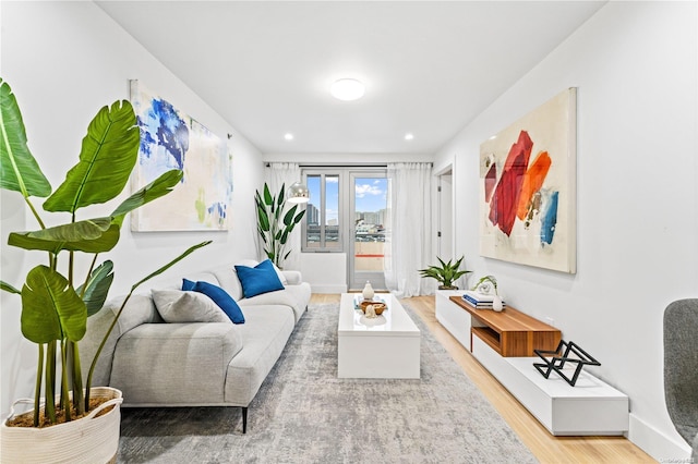 living room featuring wood-type flooring