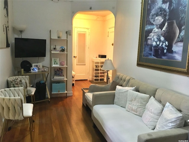 living room featuring hardwood / wood-style flooring