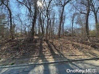 Seacrest Dr, Lloyd Harbor NY, 11743 land for sale