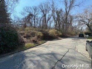 Listing photo 3 for Seacrest Dr, Lloyd Harbor NY 11743