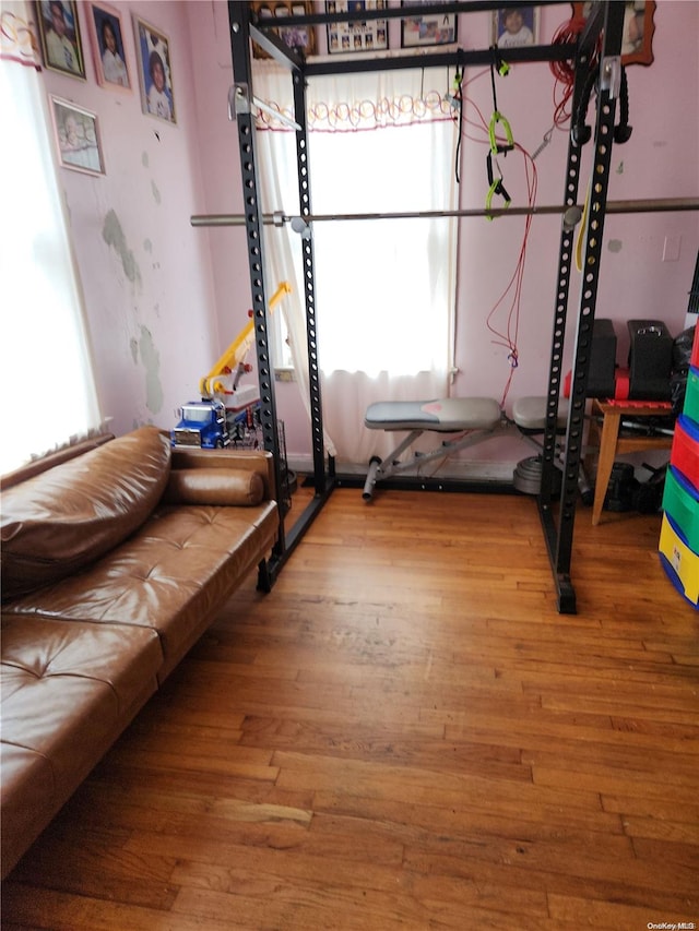 exercise room with hardwood / wood-style floors and plenty of natural light