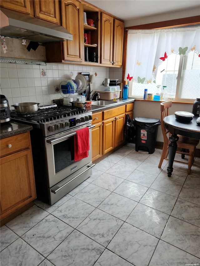 kitchen featuring decorative backsplash, sink, and high end stainless steel range oven