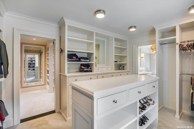 spacious closet featuring light carpet