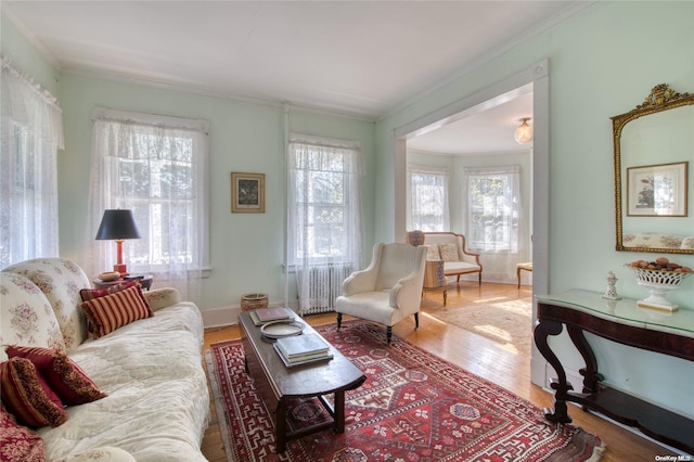 12115 Main Rd, East Marion, NY 11939 - living room with radiator, healthy amount of natural light, crown molding, and wood finished floors