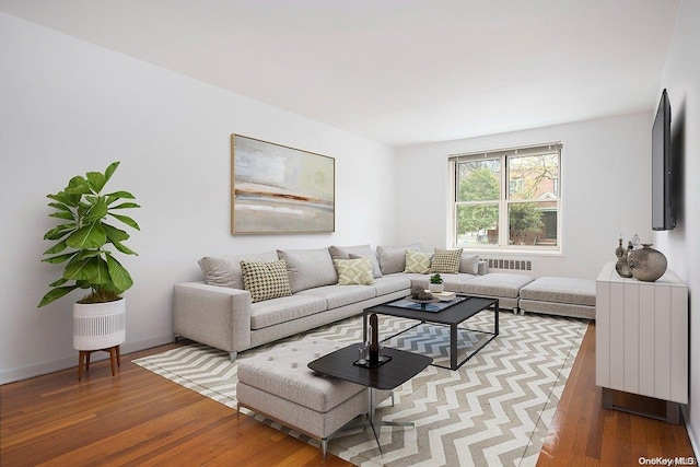 living room with hardwood / wood-style flooring