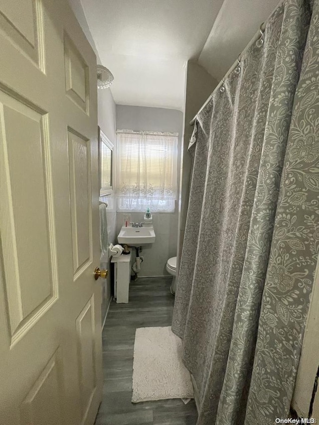 bathroom featuring hardwood / wood-style flooring, toilet, and sink