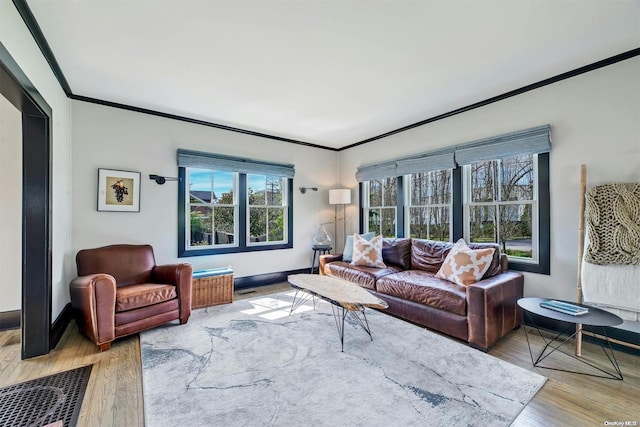 living room featuring crown molding and light hardwood / wood-style flooring