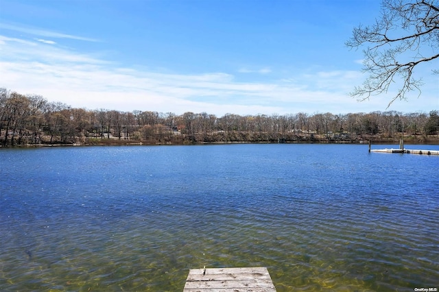 view of dock with a water view