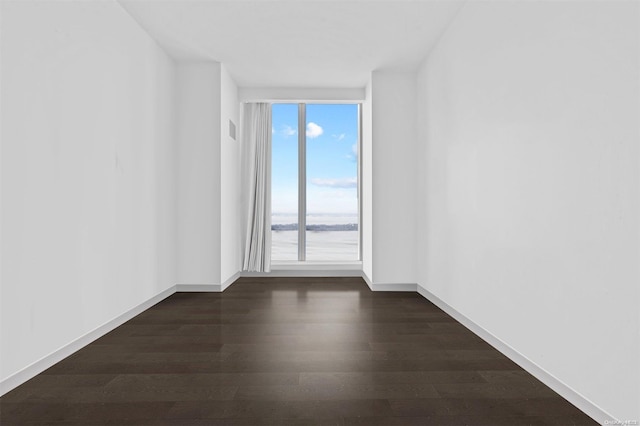 unfurnished room with dark wood-type flooring and a healthy amount of sunlight