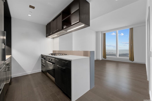 kitchen featuring dark hardwood / wood-style flooring, stainless steel appliances, and dark brown cabinetry