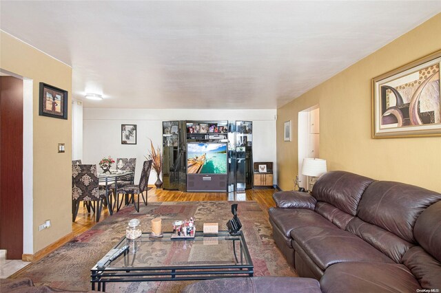 living room with wood-type flooring