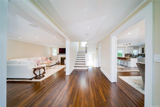 interior space featuring crown molding and dark hardwood / wood-style flooring