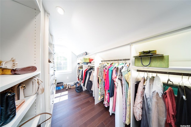 spacious closet featuring dark hardwood / wood-style flooring and vaulted ceiling