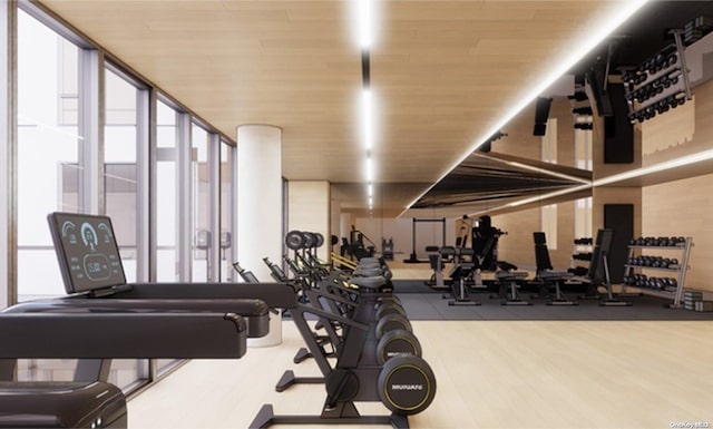 exercise room with hardwood / wood-style floors and plenty of natural light