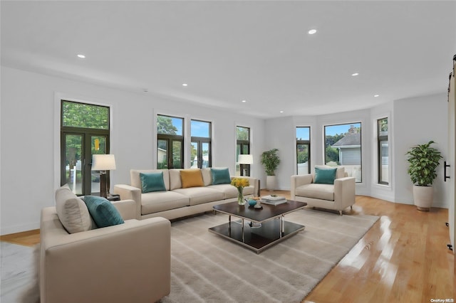 living room featuring light hardwood / wood-style flooring