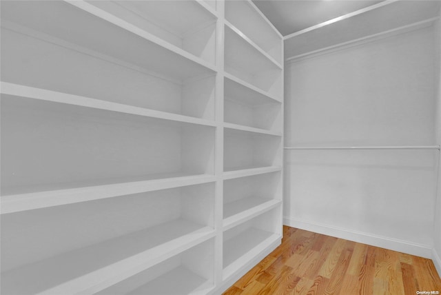 walk in closet with hardwood / wood-style floors