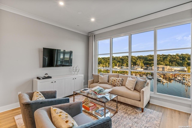 living room with light hardwood / wood-style floors and ornamental molding