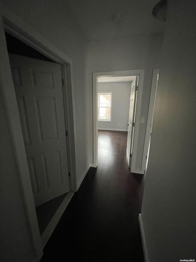 corridor with dark hardwood / wood-style floors